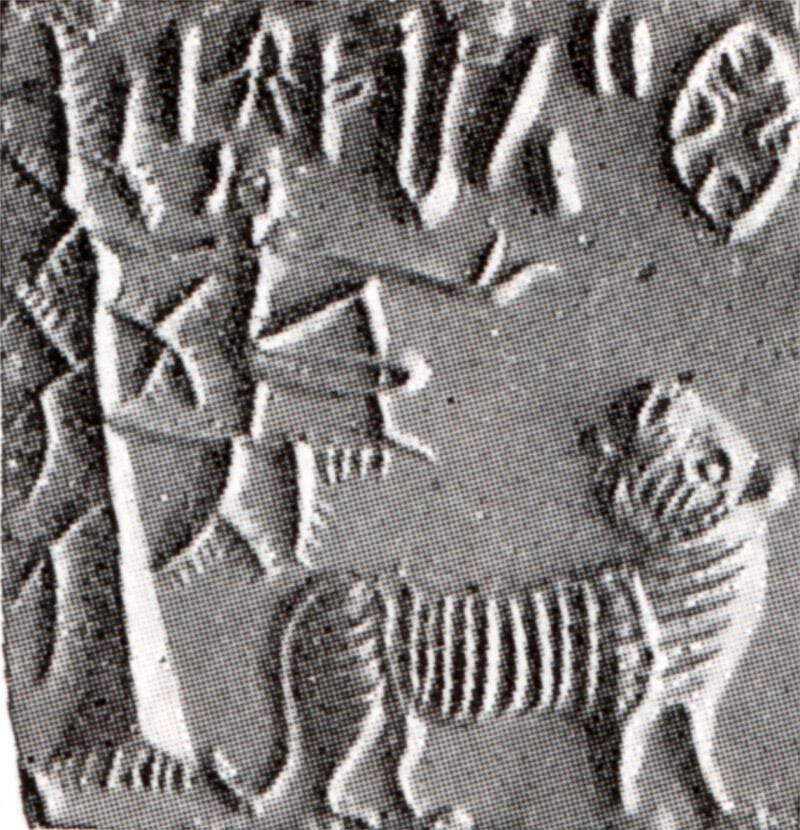 tiger and man on a tree