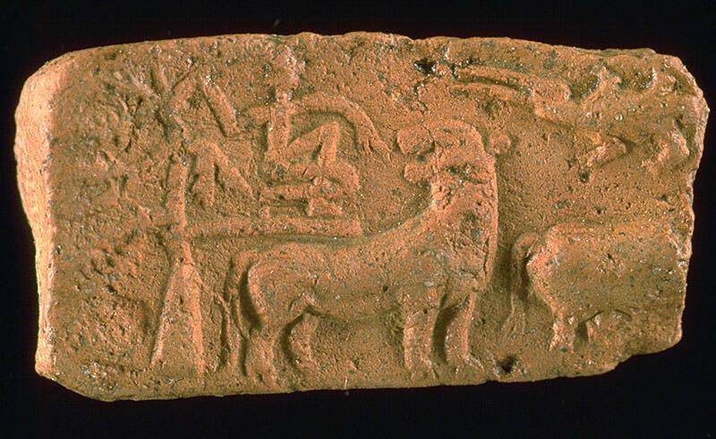 tiger-tree-tablet
